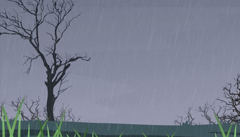 梦到雨是什么意思