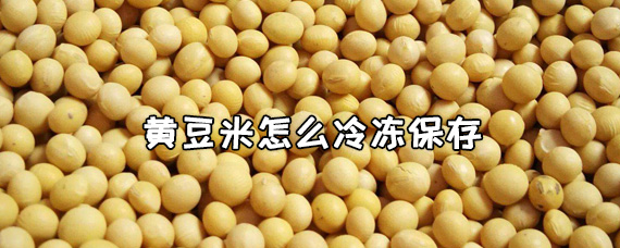 黄豆米怎么冷冻保存 十号生活百科