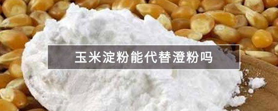 玉米淀粉能代替澄粉吗 十号生活百科