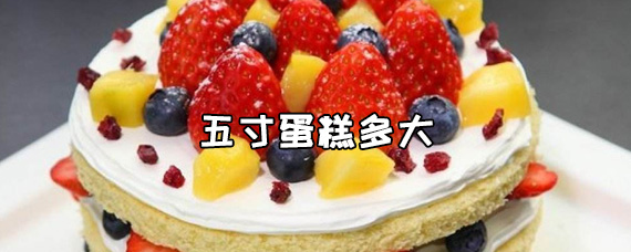 五寸蛋糕多大五寸蛋糕够几个人吃 十号生活百科