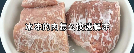 冷冻肉如何快速解冻?冷冻肉快速解冻的方法介绍 | 十号生活