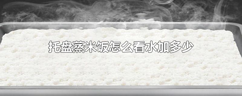 如果喜歡吃比較軟糯的米飯,米和水可以按照1:1.5的比例.